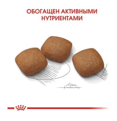 Сухой корм для собак Royal Canin Maxi Joint (10 кг)
