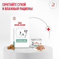 Сухой корм для собак мелких пород при диабете Royal Canin Glycobalance Small Dog (4 кг)
