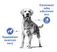 Сухой корм для собак Royal Canin Medium Light Weight Care (3 кг)
