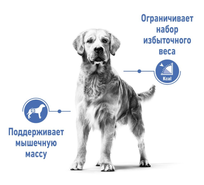 Сухой корм для собак Royal Canin Medium Light Weight Care (3 кг)