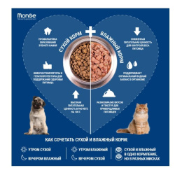 Сухой корм для котят Monge Kitten (курица)