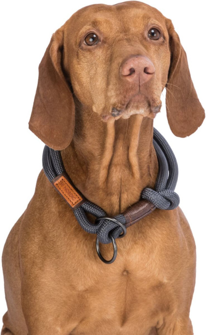 Ошейник-удавка для собак TRIXIE BE NORDIC (темно-серый/коричневый) (S-M, 40см/8мм)