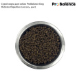 Сухой корм для собак ProBalance Dog Delicate Digestion (лосось, рис) (15 кг)