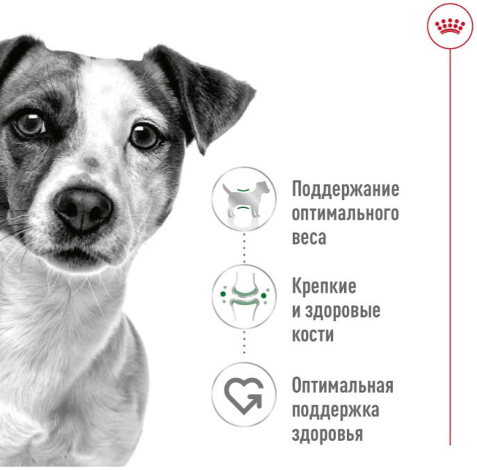 Паштет для собак Royal Canin Mini Adult (195 гр.)