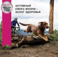 Сухой корм для собак Eukanuba Senior 7+ Large (птица) (4 кг)