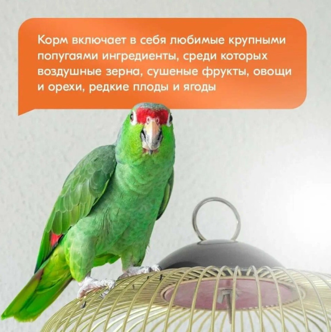 Корм для крупных попугаев RIO (1 кг + палочка 41 г)