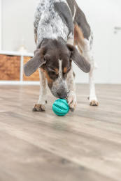 Игрушка для собак со вкусом мяты TRIXIE DENTAfun Ball