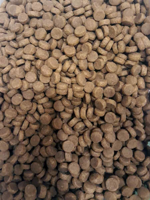 Сухой корм для кошек Probalance Cat Adult Gourmet Diet Beef & Lamb (говядина, ягненок) (10 кг)