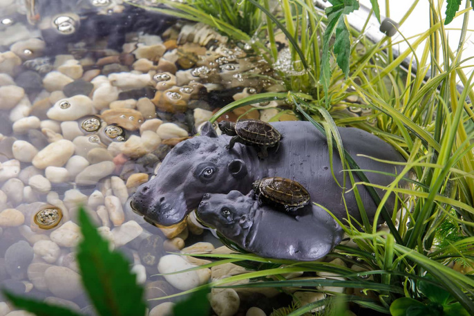 Остров для акватеррариума Exo Terra - семья бегемотов PT3066 (H230667)