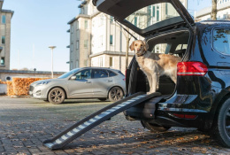 Пандус для собак до 70 кг TRIXIE