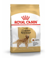 Сухой корм для собак Royal Canin Golden Retriever Adult (3 кг)
