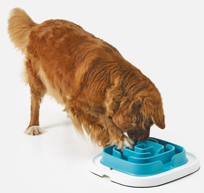 Игрушка-кормушка SAVIC "Pet Enigma Large 21" (39x35x39 см)