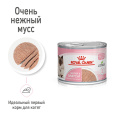 Консервы для котят Royal Canin Babycat Instinctive (мусс) (195 гр.)