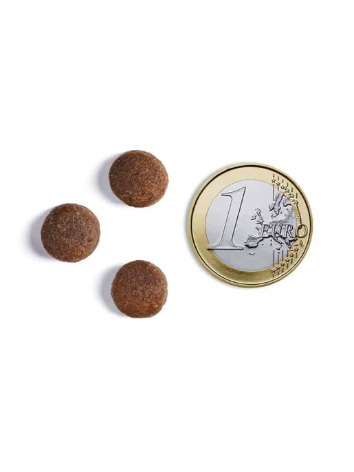 Сухой корм для собак Ambrosia Grain Free Dog Adult Light (индейка, лосось) (12 кг)