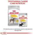 Сухой корм для собак Royal Canin Maxi Dermacomfort (10 кг)
