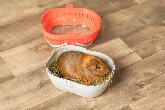 Переноска для грызунов TRIXIE Traveller Pico (23х16х17 см)