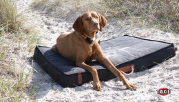 Ошейник-полуудавка для собак TRIXIE BE NORDIC (коричневый)