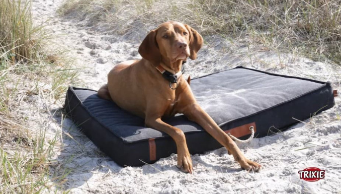 Ошейник-полуудавка для собак TRIXIE BE NORDIC (коричневый) (S, 35см/5мм)