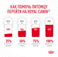 Влажный корм для кошек Royal Canin Hair & Skin Care (в желе) (85 гр*28 шт)