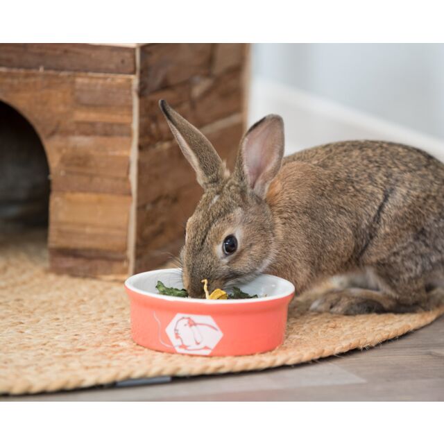 TRIXIE Миска для грызунов Кролик, 12 см (240 мл.)