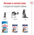 Влажный корм для собак Royal Canin Maxi Adult (в паштете) (410 гр.)
