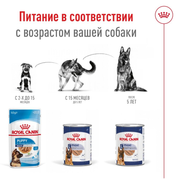 Влажный корм для собак Royal Canin Maxi Adult (в паштете) (410 гр.)