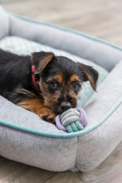 Игрушка для щенков TRIXIE в виде гантели