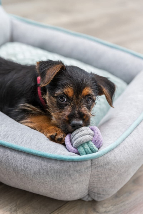 Игрушка для щенков TRIXIE в виде гантели (15 см)