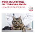 Паштет для кошек Royal Canin Urinary S/O (85 гр*12 шт)