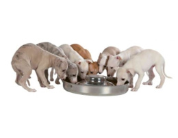 Миска металлическая для щенков 4л/диам.38см Junior "TRIXIE" (25282)