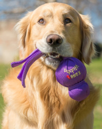 KONG Игрушка для собак Wubba