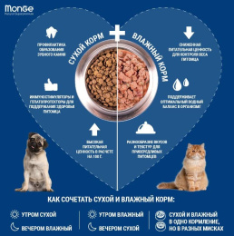 Паштет для собак Monge Natural Monoprotein Dog Adult (ягненок, черника)