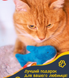 FANCY PETS игрушка для кошек Акула