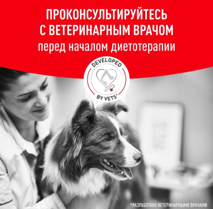 Влажный корм для собак при диабете Royal Canin Glycobalance Dog (195 гр.)