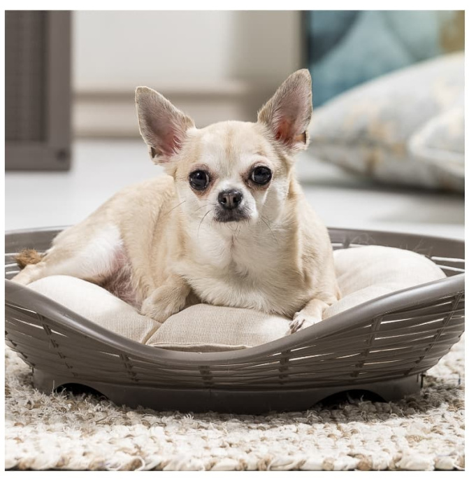 Лежанка с подушкой BAMA PET PASHA