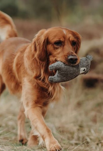 HUNTER Игрушка для собак Billund Bear серый (23 см)