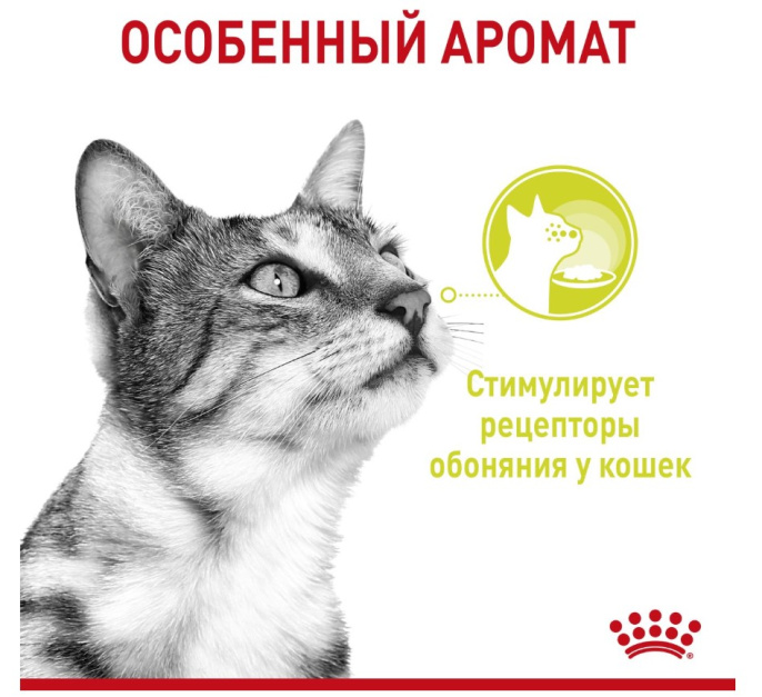 Влажный корм для кошек Royal Canin Sensory Smell (соус) (85 гр*12 шт)