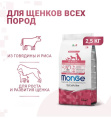 Сухой корм для щенков Monge Monoprotein Puppy & Junior All Breeds (говядина, рис) (2,5 кг)