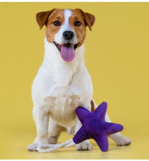 Игрушка для собак мелких и средних пород Mr.Kranch Звездочка с канатом и пищалкой 26х16х5см (Ярко-розовая)