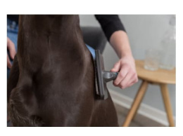 Мягкая щетка-пуходерка 7х16 см TRIXIE (24131)