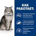Сухой корм для кошек Hill's Prescription Diet l/d Liver Care (курица) (1.5 кг)