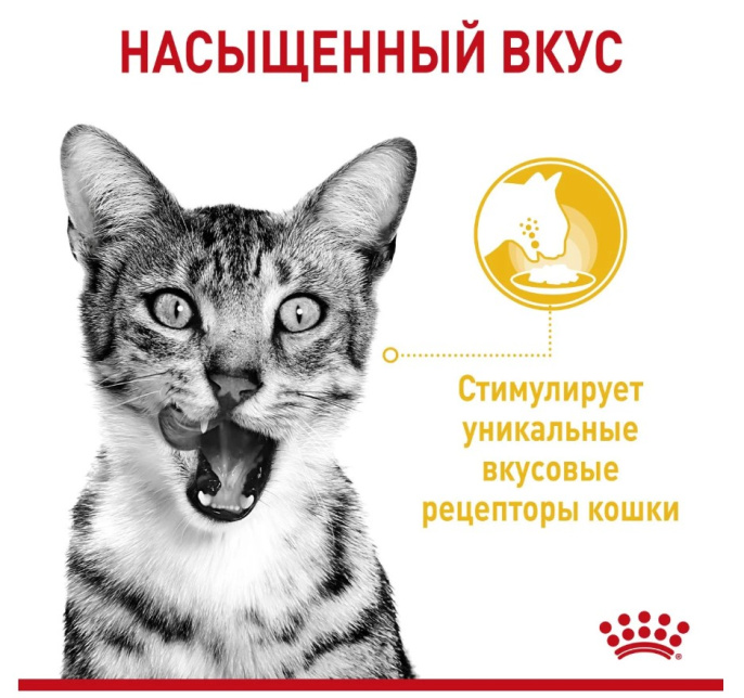 Влажный корм для кошек Royal Canin Sensory Taste (желе) (85 гр*12 шт)