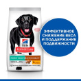 Сухой корм для собак крупных пород Hill's Science Plan Perfect Weight & Active Mobility (курица) (12 кг)