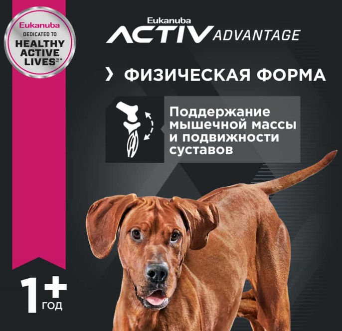 Сухой корм для собак Eukanuba Adult Large Breed (птица) (3 кг)