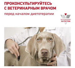 Консервы для собак Royal Canin Urinary S/O Dog