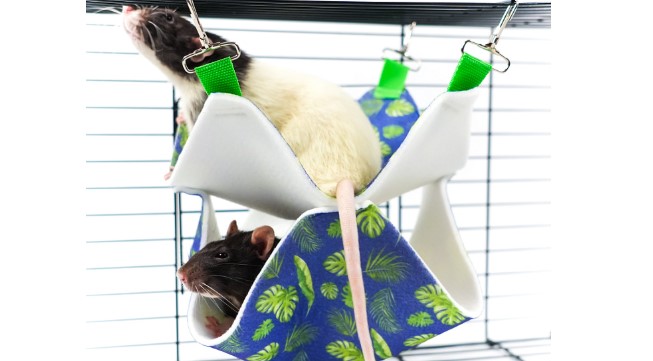 Акция! 10% на товары для грызунов Bambini Pets