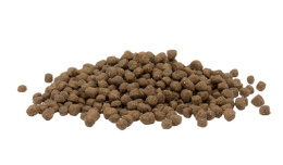 Сухой корм для котят Opti Life Kitten (курица)