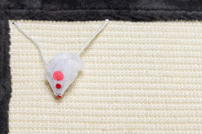 Коврик когтеточка для кошек Beeztees (48х31 см)