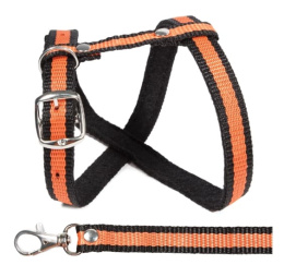 Комплект шлейка и поводок Gamma Прогулка