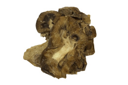 Лакомство сублимированное для собак ГОВЯЖЬИ ПОЧКИ BLITZ